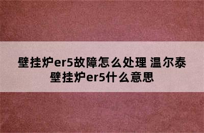 壁挂炉er5故障怎么处理 温尔泰壁挂炉er5什么意思